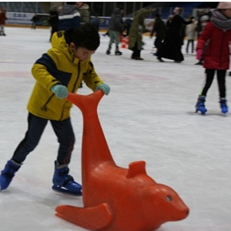 Schaatsen in Uithof 2022